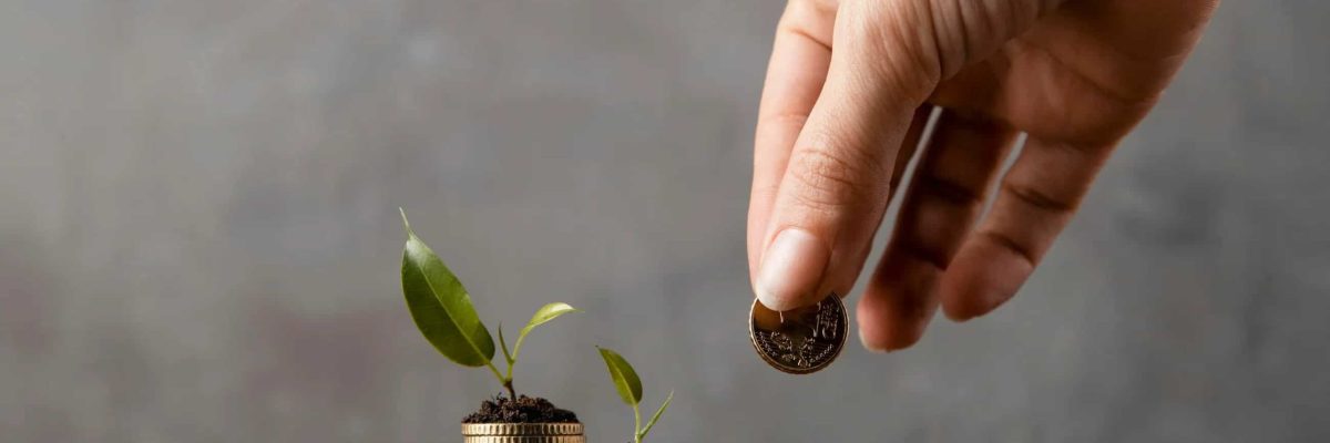 Vantagens Do Lucro Presumido - Contabilidade em Brasília - DF | Expert Easy Contabilidade